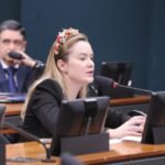 Discussão e votação de propostas legislativas. Dep. Julia Zanatta (PL - SC)