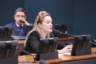 Discussão e votação de propostas legislativas. Dep. Julia Zanatta (PL - SC)